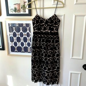 Club Monaco Black/Nude Lace Dress